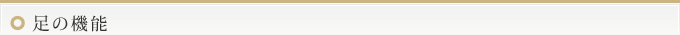 足の機能